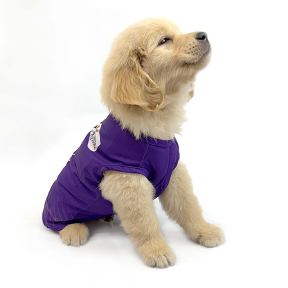 Pets Way Kolkata Kennel Riders Team Jersey Vest for Dogs | Indian Pet League