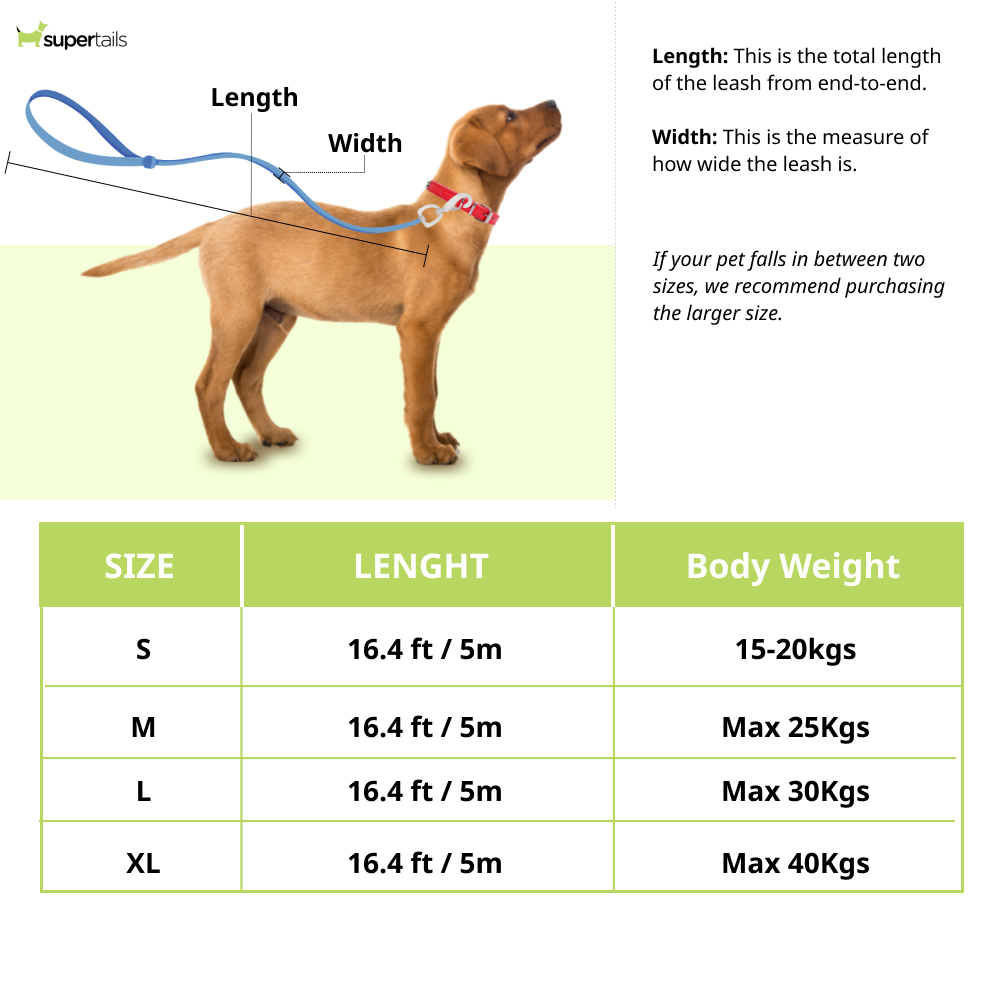 Fida Autobrake Retractable Leash for Dogs (White)