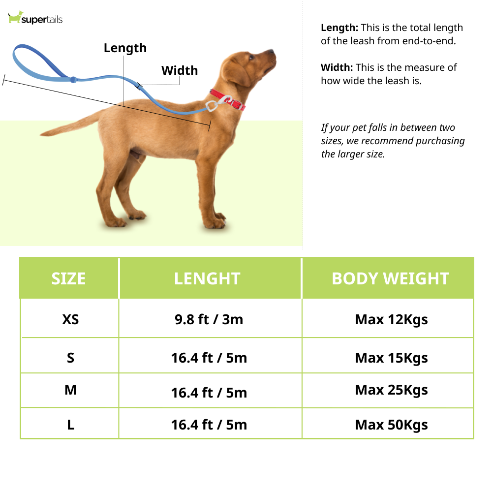 Fida Styleash Retractable Leash for Dogs (Blue)