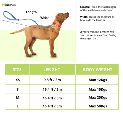 Fida Styleash Retractable Leash for Dogs (Blue)