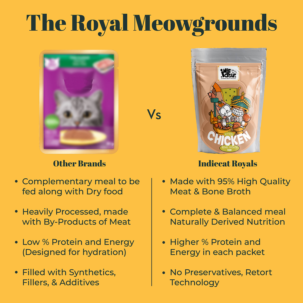 IndieCat Royal Growth Chicken Kitten Cat Wet Food
