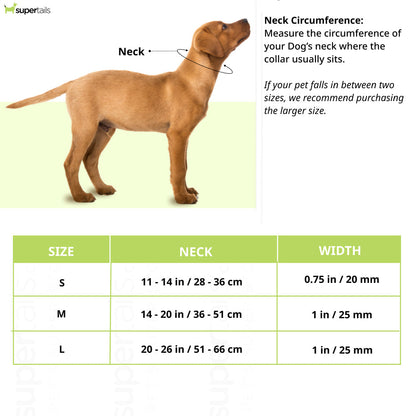 Ruffwear Front Range Collar for Dogs (Red Clay)