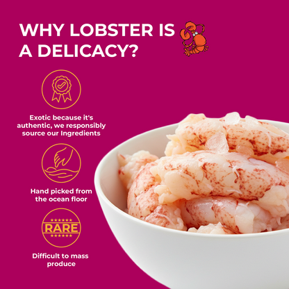 Purrkins Lobster & Chicken Soft Jerky Cat Treats