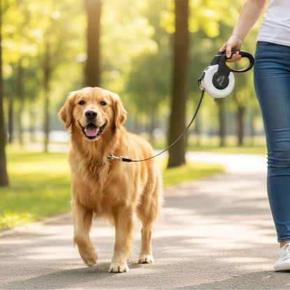 Fida Mars Retractable Leash for Dogs (Red)