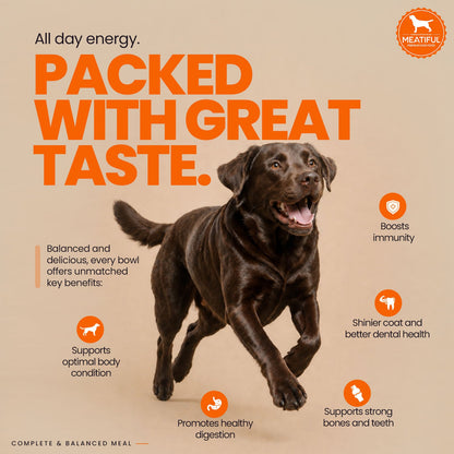 Meatiful Premium Chicken Adult Dog Dry Food