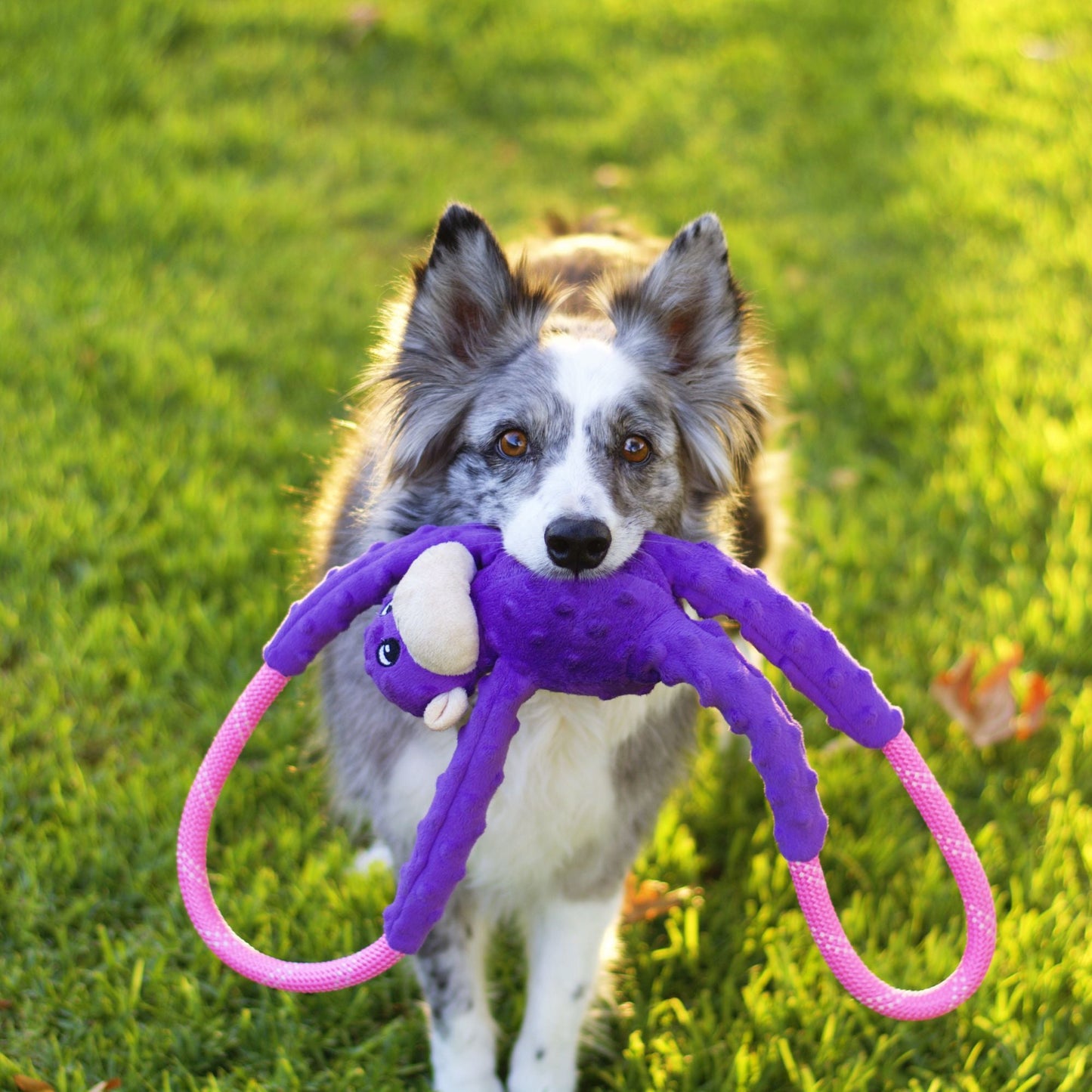Zippy Paws RopeTugz Monkey Purple Plush Toy for Dogs