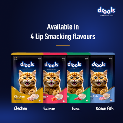 Drools Chicken Mousse Adult Cat Wet Food