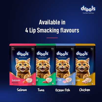 Drools Salmon Mousse Adult Cat Wet Food