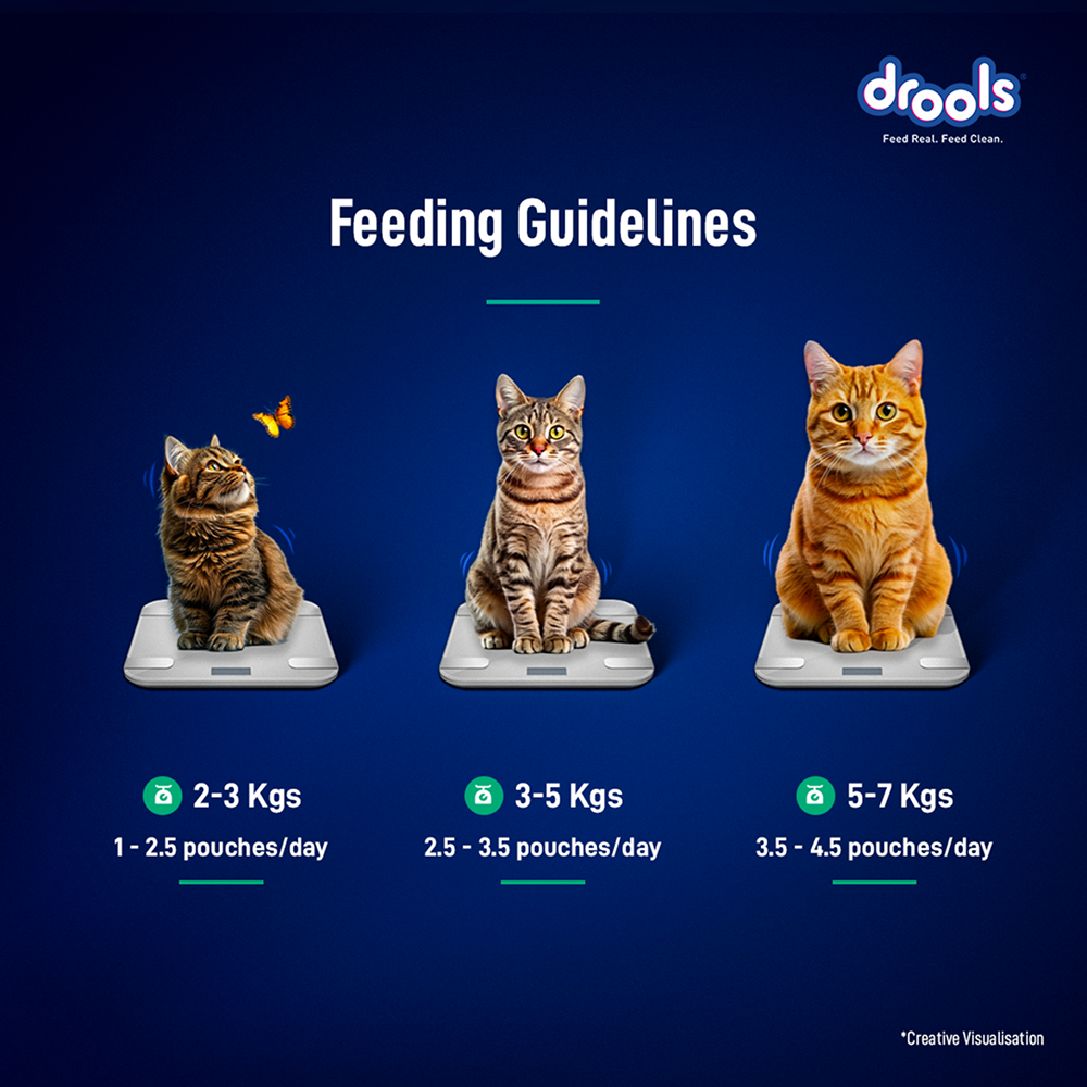 Drools Tuna Mousse Adult Cat Wet Food