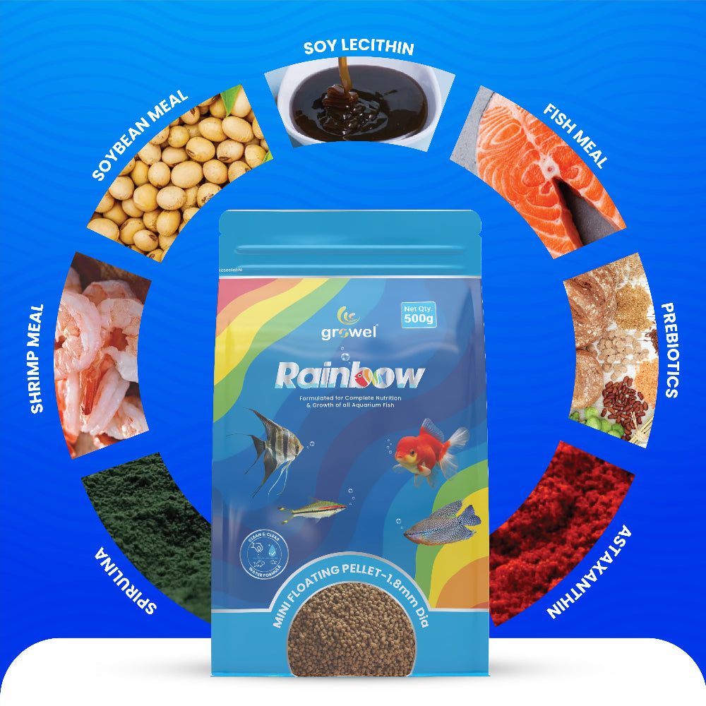Growel Rainbow Mini 1.8mm Floating Pellet for Fish