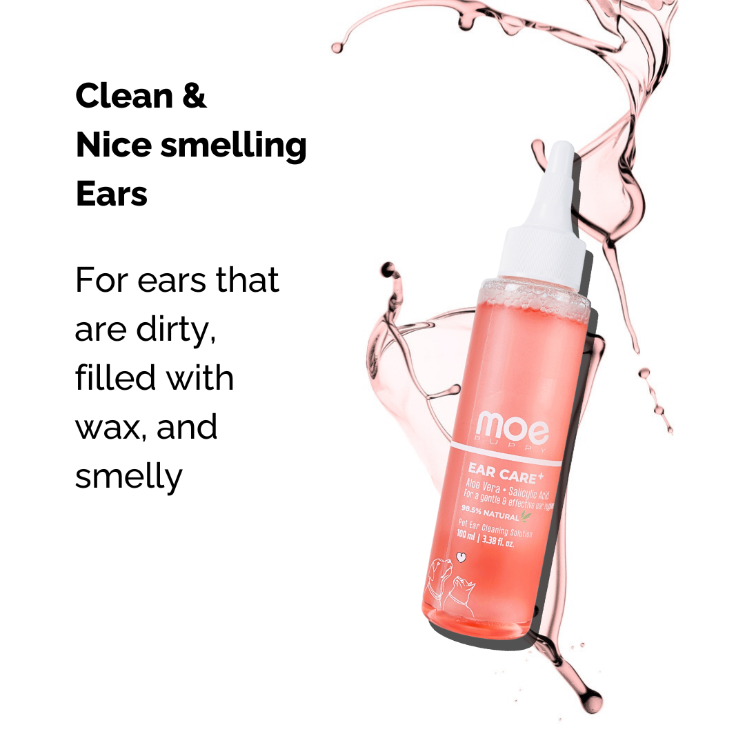 Moe Puppy Care Plus Ear Cleanser for Dogs and Cats