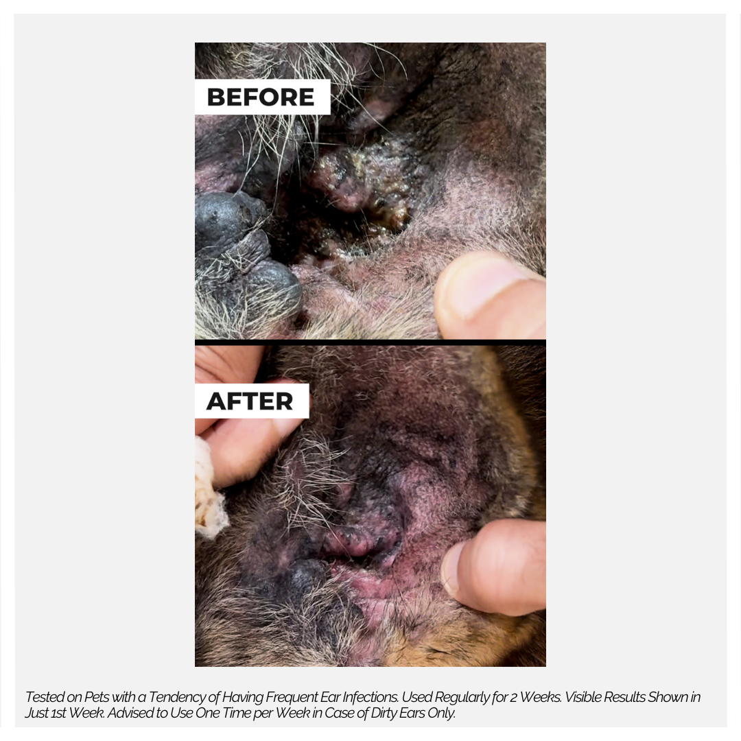 Moe Puppy Care Plus Ear Cleanser for Dogs and Cats
