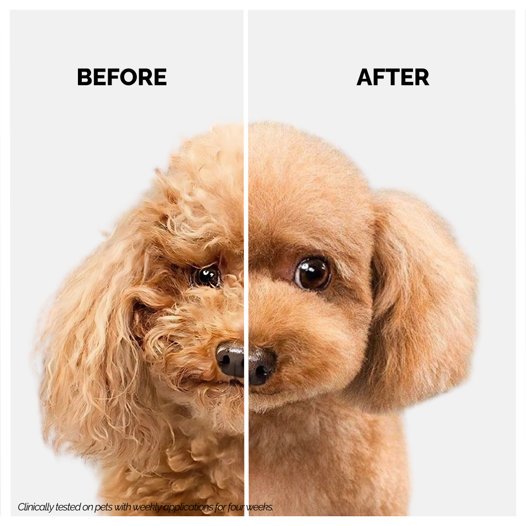 Moe Puppy Deshedding & Detangling 2 in 1 Shampoo & Conditioner for Dogs & Cats