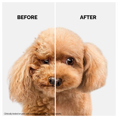 Moe Puppy Deshedding & Detangling 2 in 1 Shampoo & Conditioner for Dogs & Cats