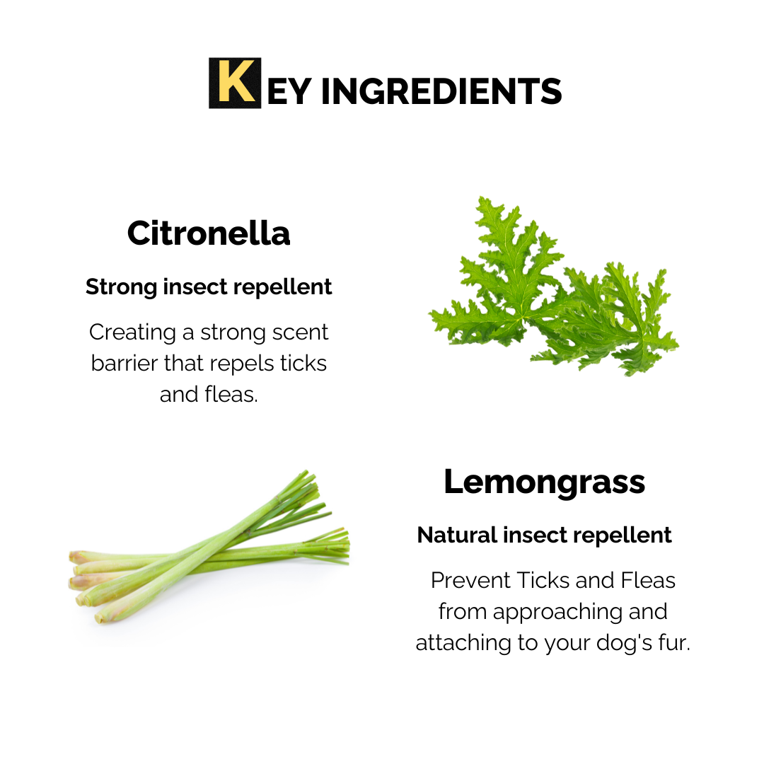 Moe Puppy Natural Lemongrass & Aloe Vera Anti Tick Spray for Dogs & Cats