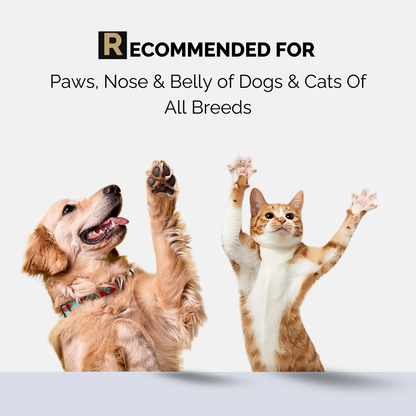 Moe Puppy Vitamin E Shea Butter Paw Cream for Dogs & Cats