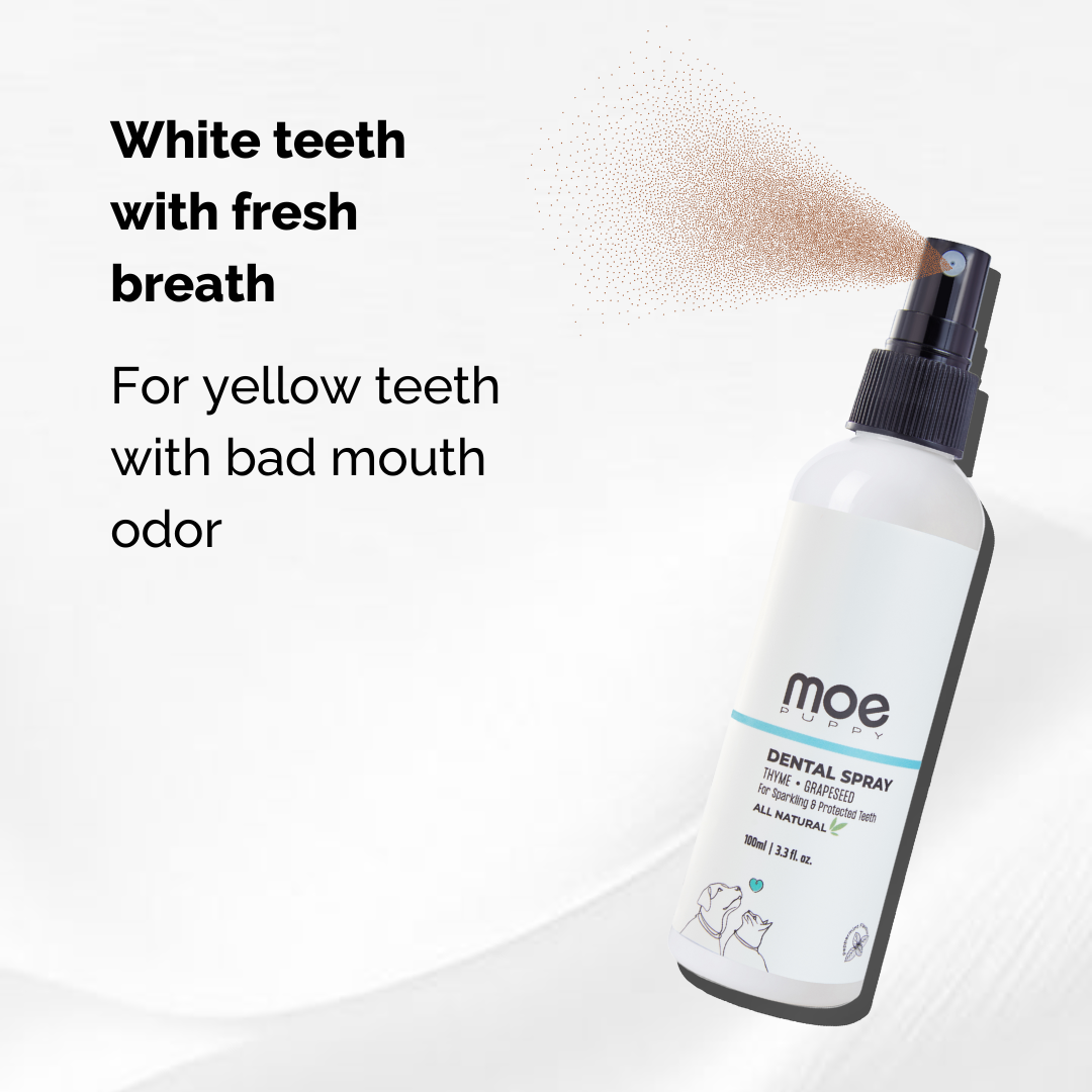 Moe Puppy Thyme Grapeseed Dental Spray for Dogs & Cats