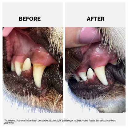 Moe Puppy Thyme Grapeseed Dental Spray for Dogs & Cats