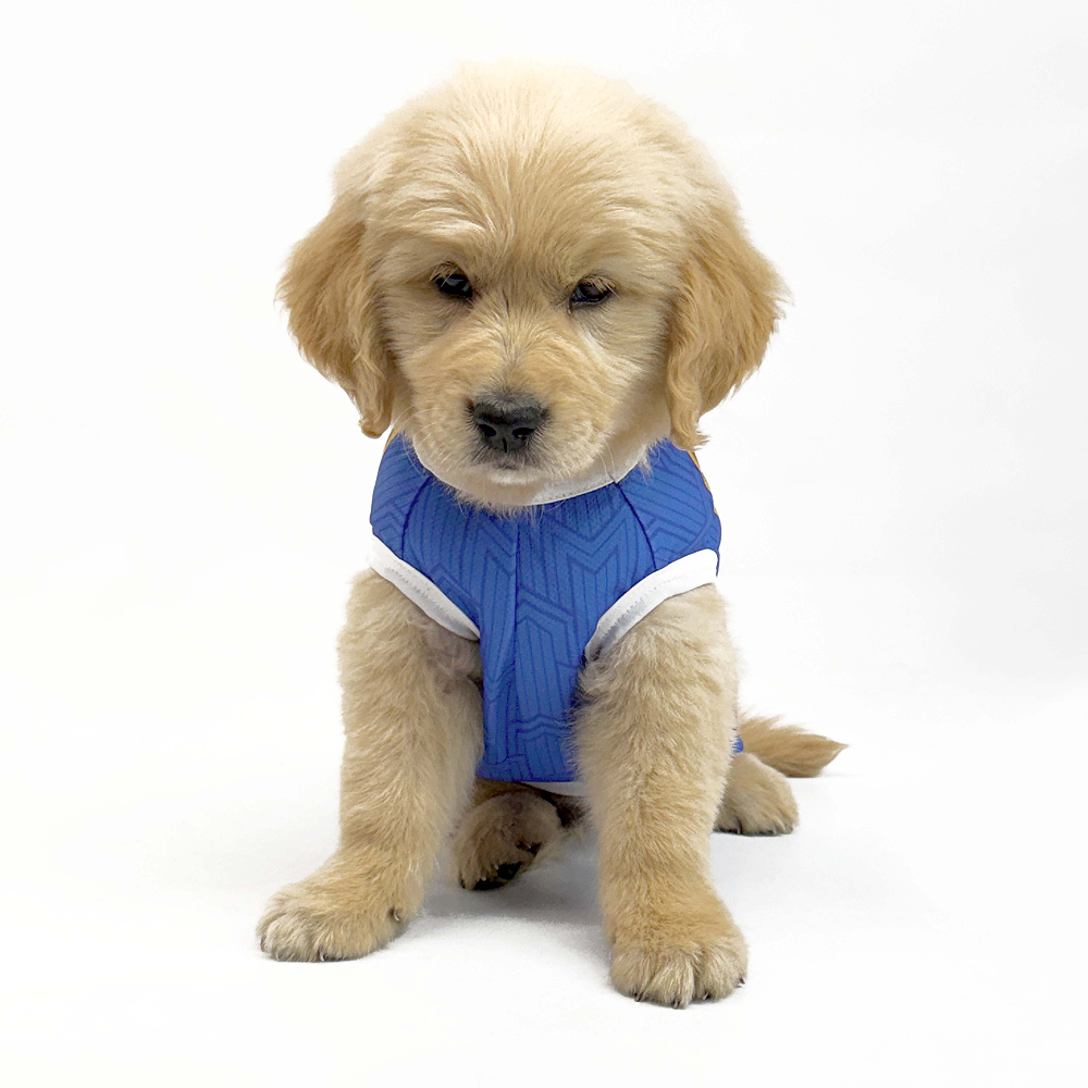 Pets Way Mumbai Indies Team Jersey Vest for Dogs | Indian Pet League
