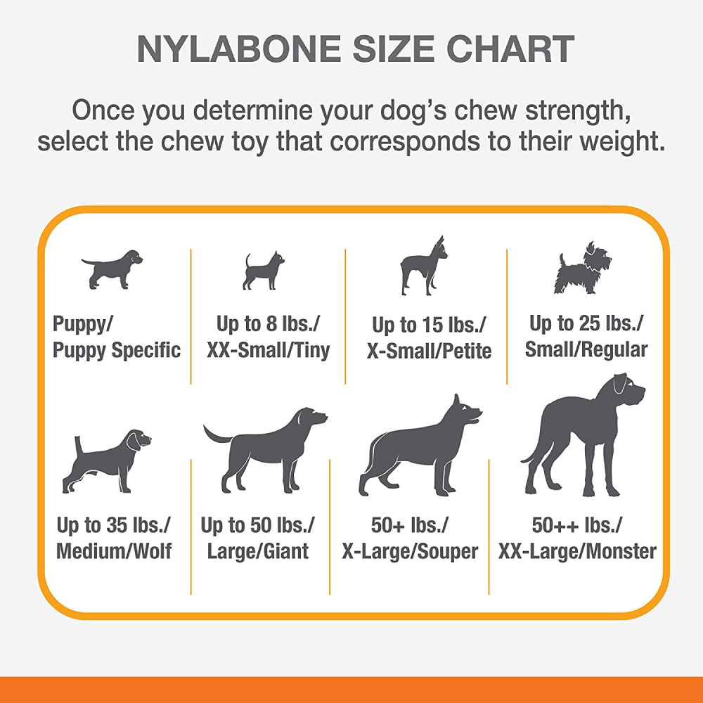 Nylabone Medley Flavoured Textured Power Chew Bone Toy for Dogs (Brown)