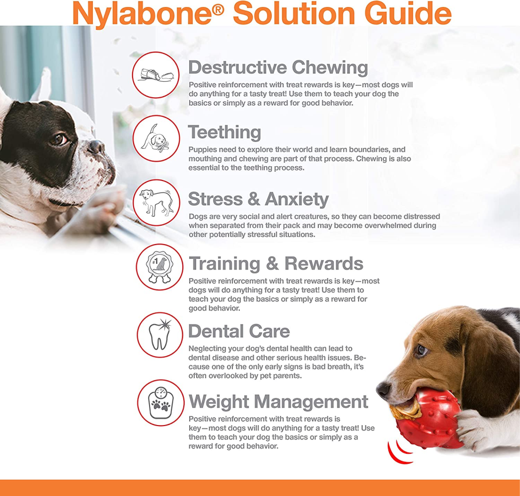 Nylabone Medley Flavoured Textured Power Chew Bone Toy for Dogs (Brown)