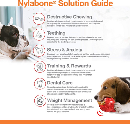 Nylabone Medley Flavoured Textured Power Chew Bone Toy for Dogs (Brown)