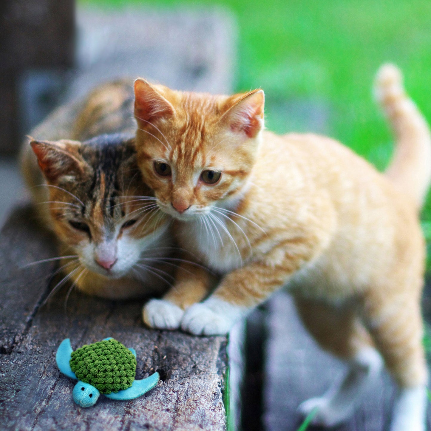 Kong  Refillables Turtle Toy for Cats (Green)