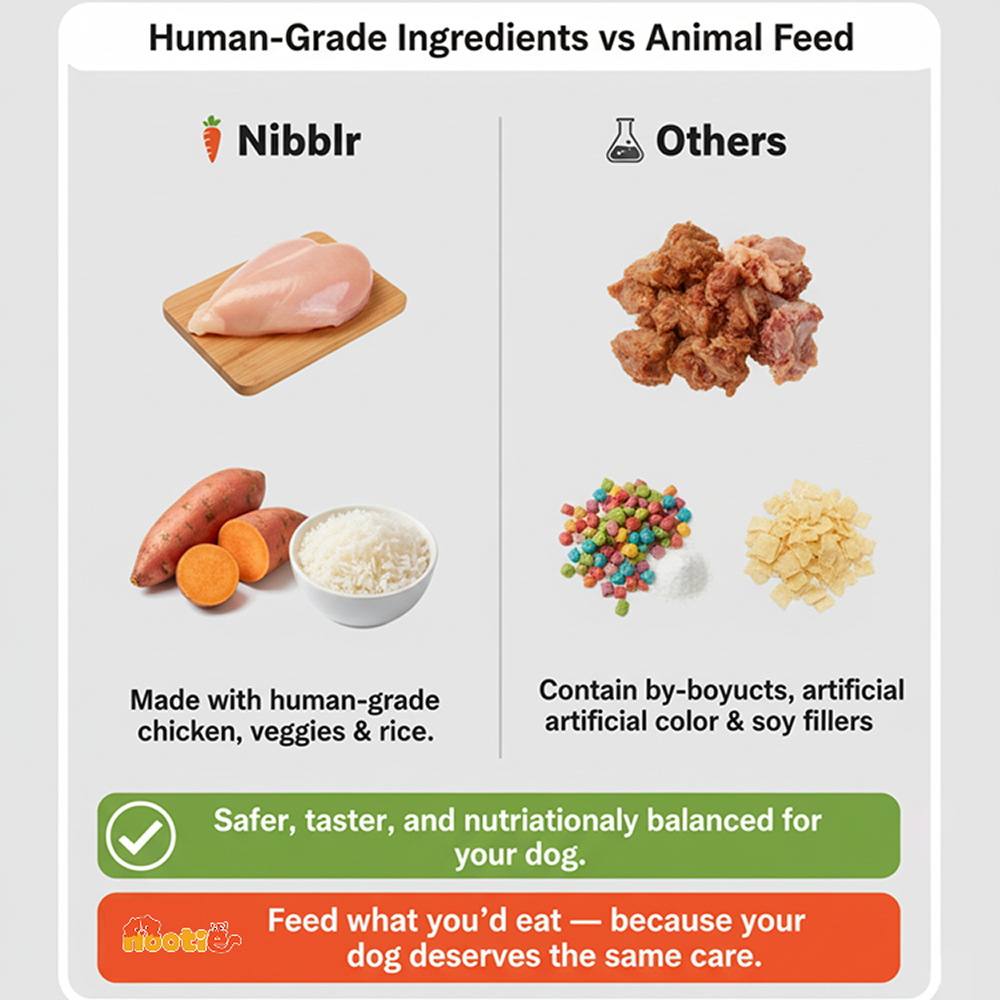 Nibblr By Nootie Wholesome Chicken Sweet Potato & Rice Ready to Eat Meal Dog Wet Food