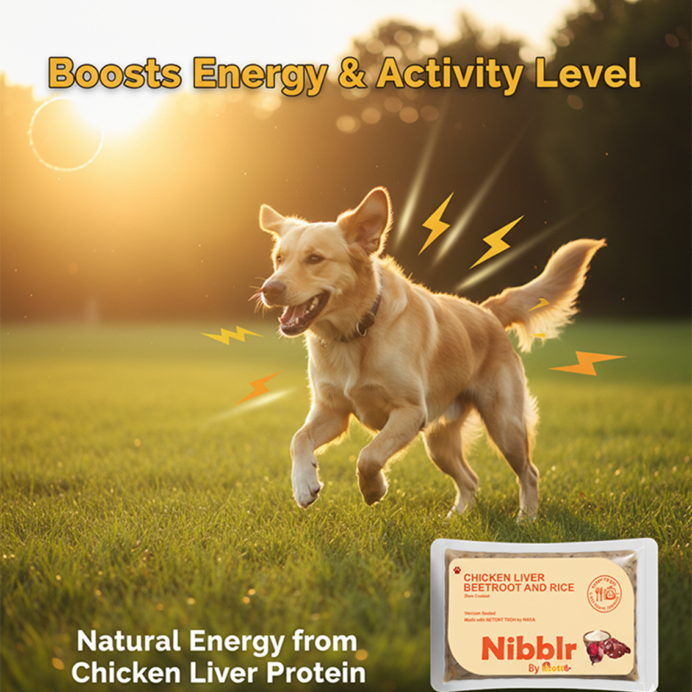 Nibblr By Nootie Wholesome Chicken Liver Beetroot & Rice Ready to Eat Meal Dog Wet Food