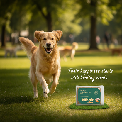 Nibblr By Nootie Wholesome Chicken Veggie & Rice Ready to Eat Meal Dog Wet Food