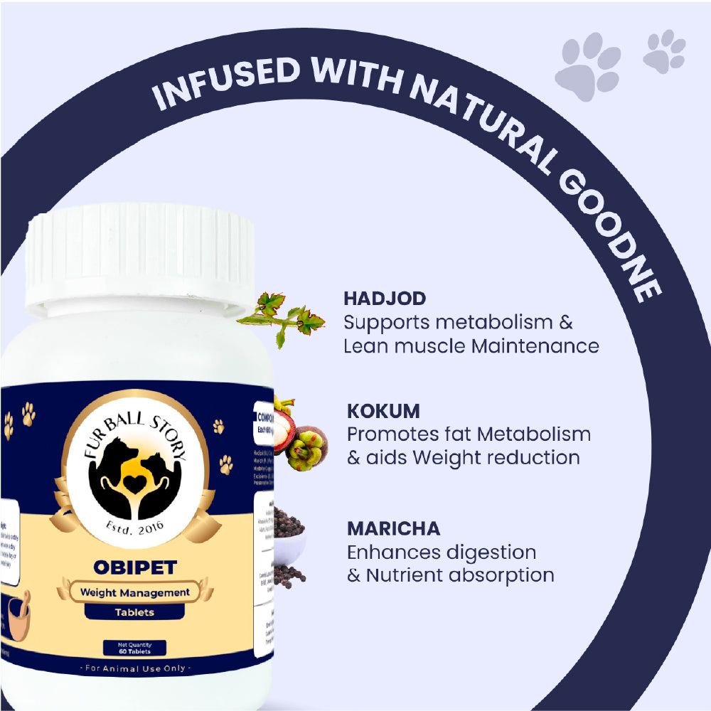 FurBall Story Obipet Weight Management Tablets for Dogs