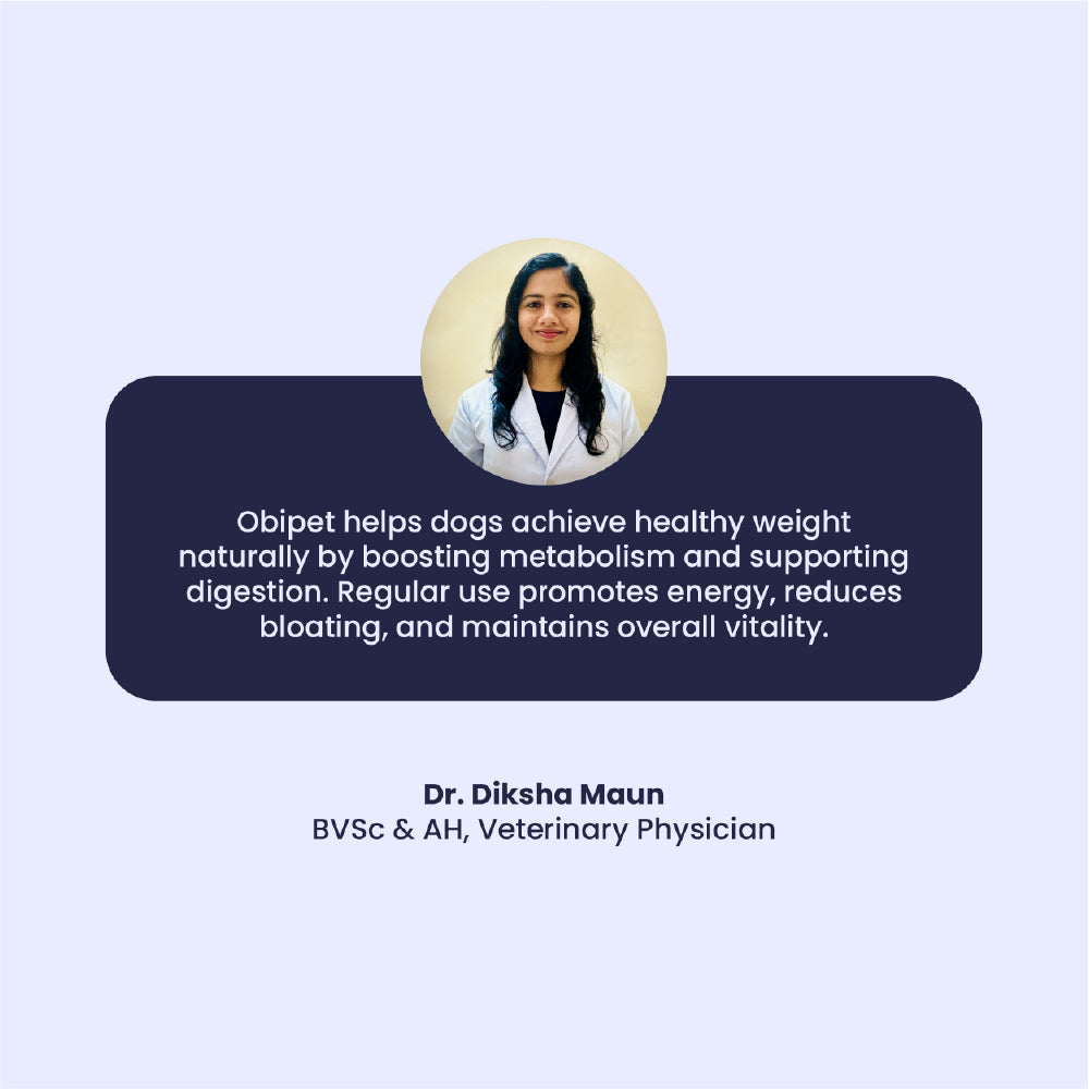 FurBall Story Obipet Weight Management Tablets for Dogs