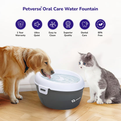 Petverse Oral Care Water Fountain for Dogs & Cats