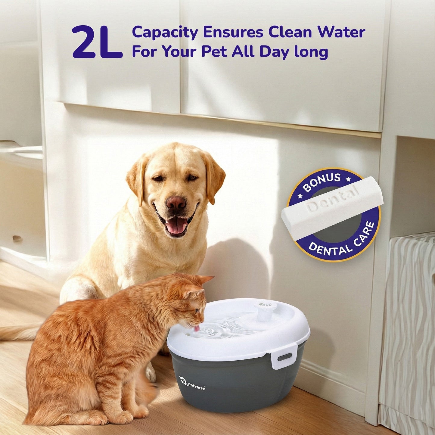Petverse Oral Care Water Fountain for Dogs & Cats
