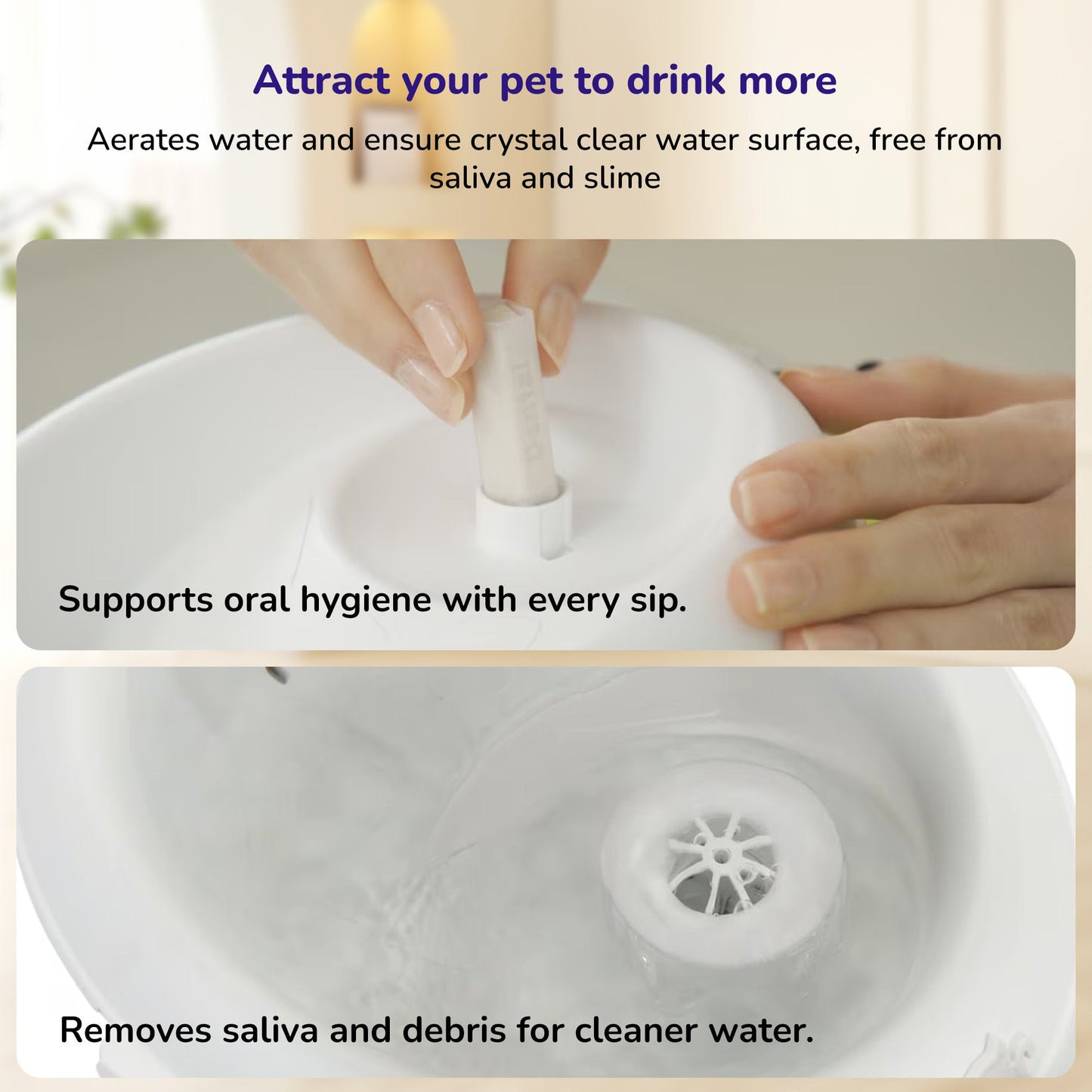 Petverse Oral Care Water Fountain for Dogs & Cats