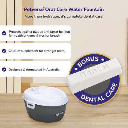 Petverse Oral Care Water Fountain for Dogs & Cats