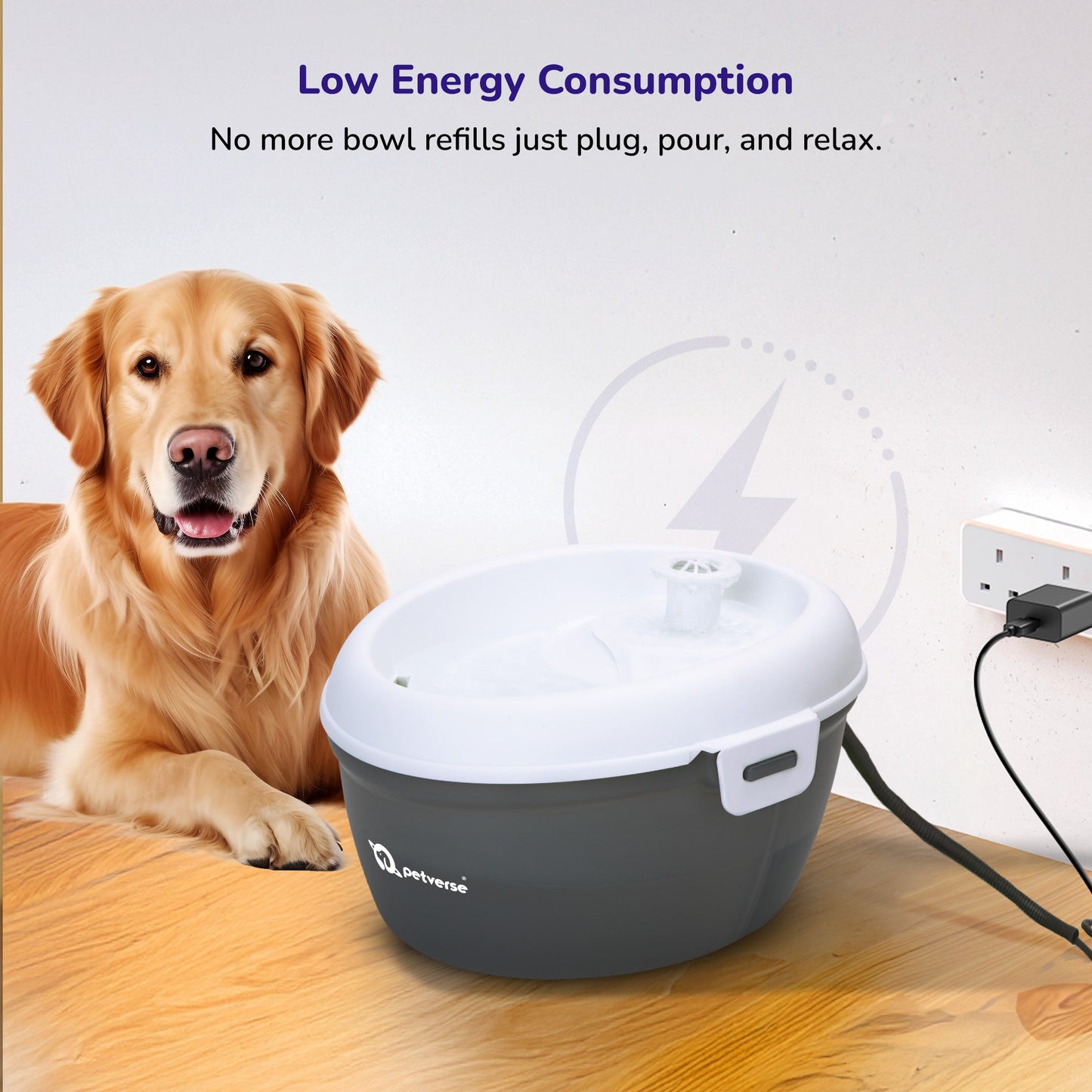 Petverse Oral Care Water Fountain for Dogs & Cats