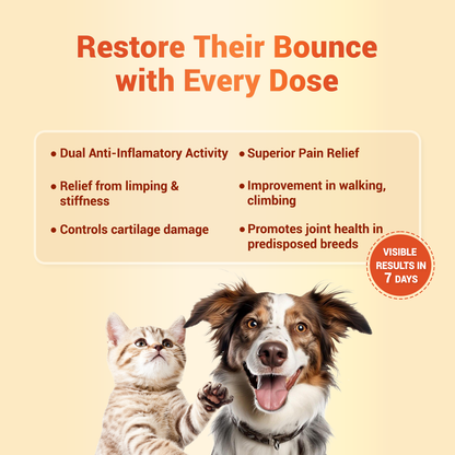 Natural Remedies Orthoron Plus Joint Supplement Tablets for Dogs and Cats