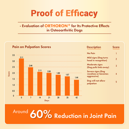 Natural Remedies Orthoron Plus Joint Supplement Tablets for Dogs and Cats