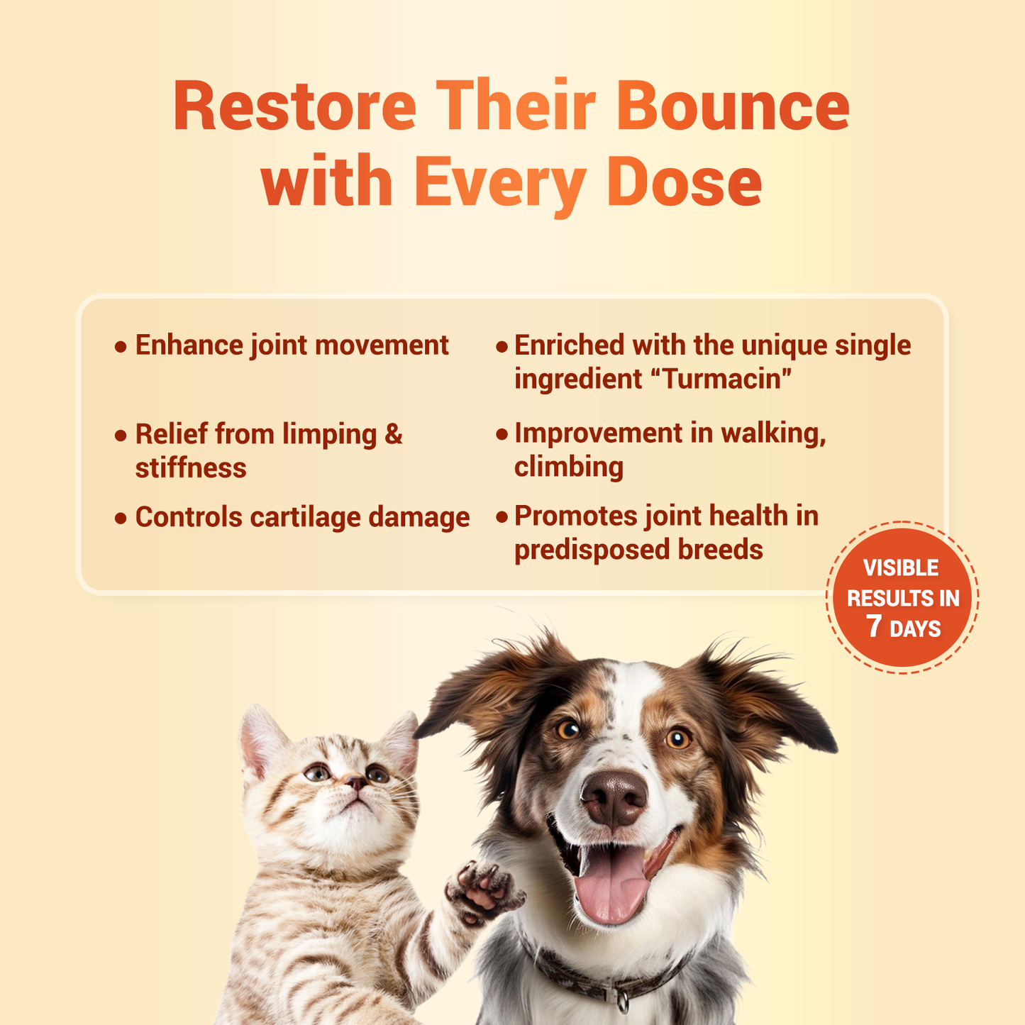 Natural Remedies Orthoron Plus Joint Supplement Paste for Dogs and Cats