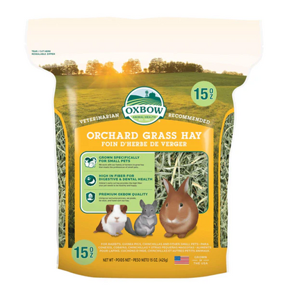Oxbow Orchard Grass Hay for Rabbits and Guinea Pigs