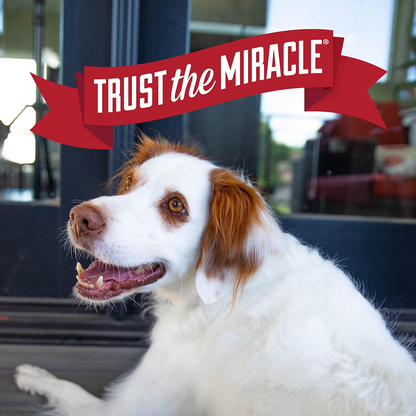 Nature’s Miracle Lavender Scented Charcoal Odor Control Shampoo and Conditioner for Dogs