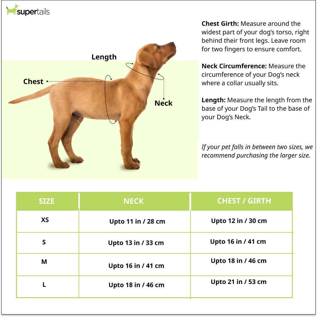 Pets Way Cupid Air Mesh Printed Harness for Puppies and Small Dogs