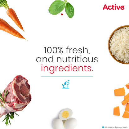 Active Weekly Combo Packof 4 Biryani Fresh Food For Dogs (Buy 1 Get 1)
