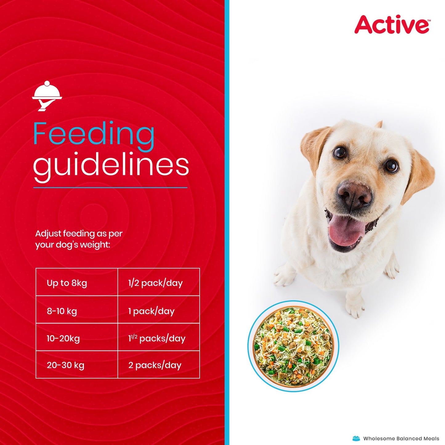 Active Weekly Combo Packof 4 Biryani Fresh Food For Dogs (Buy 1 Get 1)
