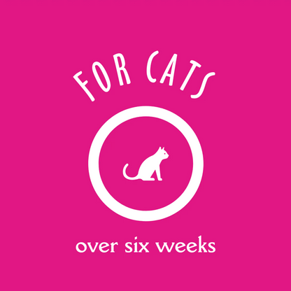 EarthBath Hypo Allergenic Fragrance Free Shampoo for Cats