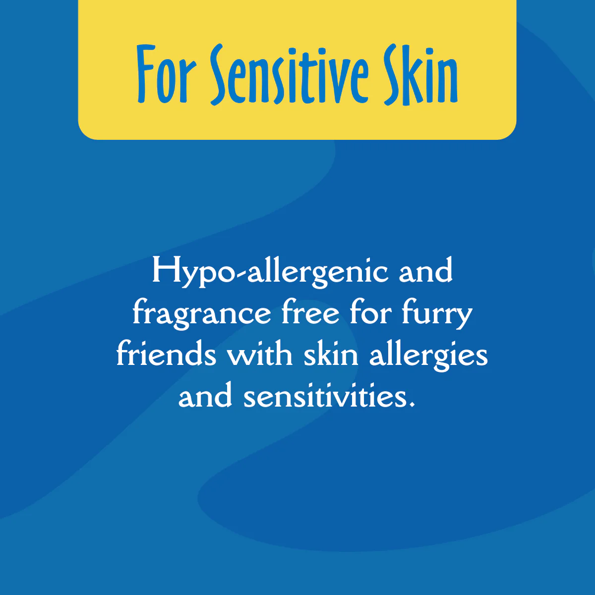 EarthBath Hypo Allergenic Fragrance Free Shampoo for Cats