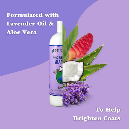 EarthBath Lavender Coat Brightening Shampoo for Dogs and Cats