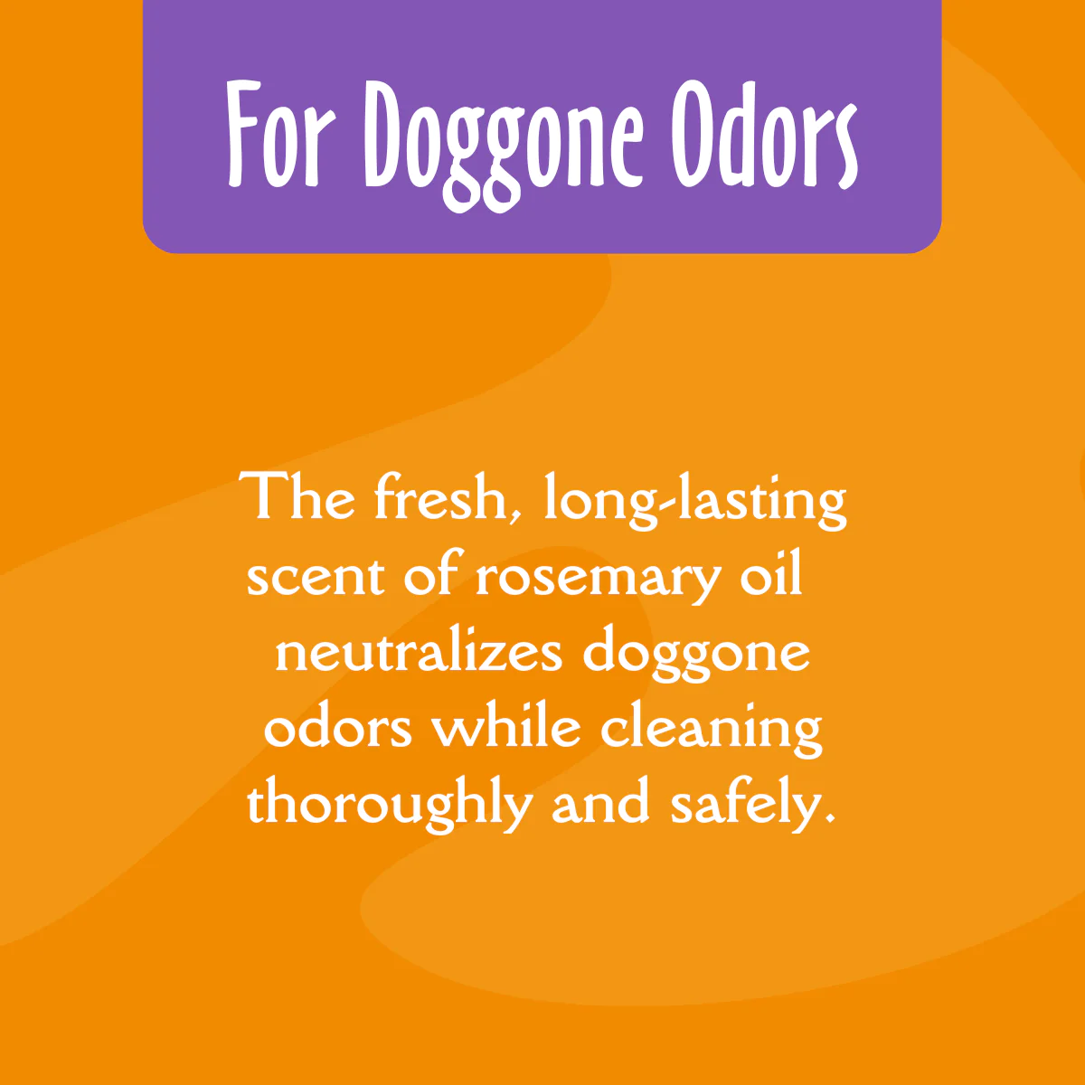 EarthBath Mediterranean Magic Deodorizing Shampoo for Dogs and Cats