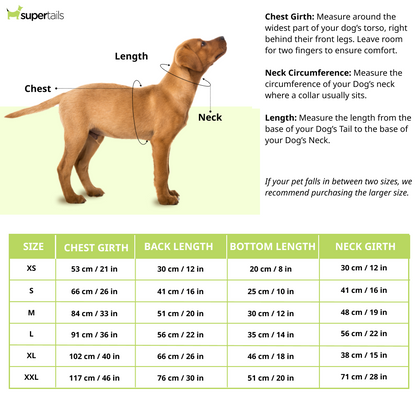 Pawsindia Lucknow Super Pups T20 Pets Premier League Jersey for Dogs | Indian Pet League